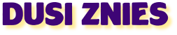 dusiznies com